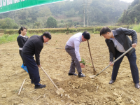 Đoàn viên, công chức, viên chức, người lao động huyện Quảng Hoà hưởng ứng Lễ phát động trồng cây đời đời nhớ ơn Bác Hồ Xuân Giáp Thìn năm 2024