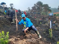 Liên đoàn Lao động huyện Trùng Khánh: Hưởng ứng tham gia Tết trồng cây đời đời nhớ ơn Bác Hồ