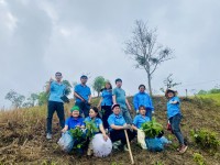 Công đoàn cơ sở trường Tiểu học Thái Học tổ chức giúp gia đình đoàn viên công đoàn trồng cây
