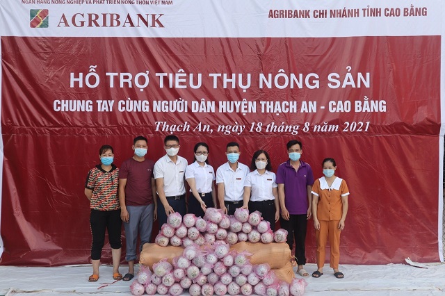 Đoàn viên, người lao động Agribank chi nhánh tỉnh Cao Bằng chung tay hỗ trợ, tiêu thụ nông sản