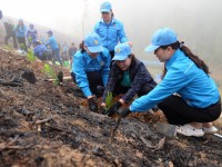 Liên đoàn Lao động tỉnh tổ chức Lễ phát động Tết trồng cây “Đời đời nhớ ơn Bác Hồ” xuân Giáp Thìn năm 2024
