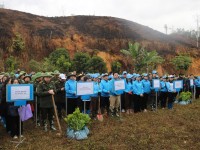 Liên đoàn Lao động tỉnh phát động Tết trồng cây “Đời đời nhớ ơn Bác Hồ” xuân Ất Tỵ năm 2025