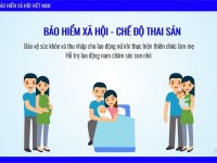 Từ ngày 01/7/2025, được hưởng trợ cấp thai sản khi tham gia bảo hiểm xã hội tự nguyện