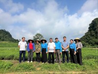 Liên đoàn Lao động tỉnh nắm bắt tình hình sản xuất, đời sống người lao động tại Hợp tác xã Thảo Đường Vinh