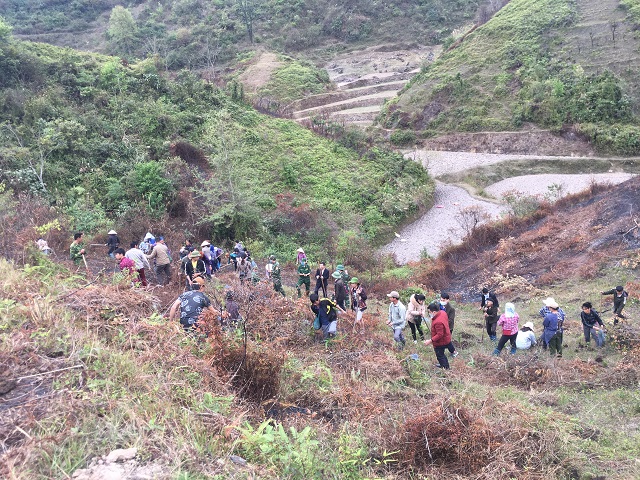 Huyện Hạ Lang: Tổ chức “Tết trồng cây đời đời nhớ ơn Bác Hồ” nhân dịp Xuân Tân Sửu năm 2021